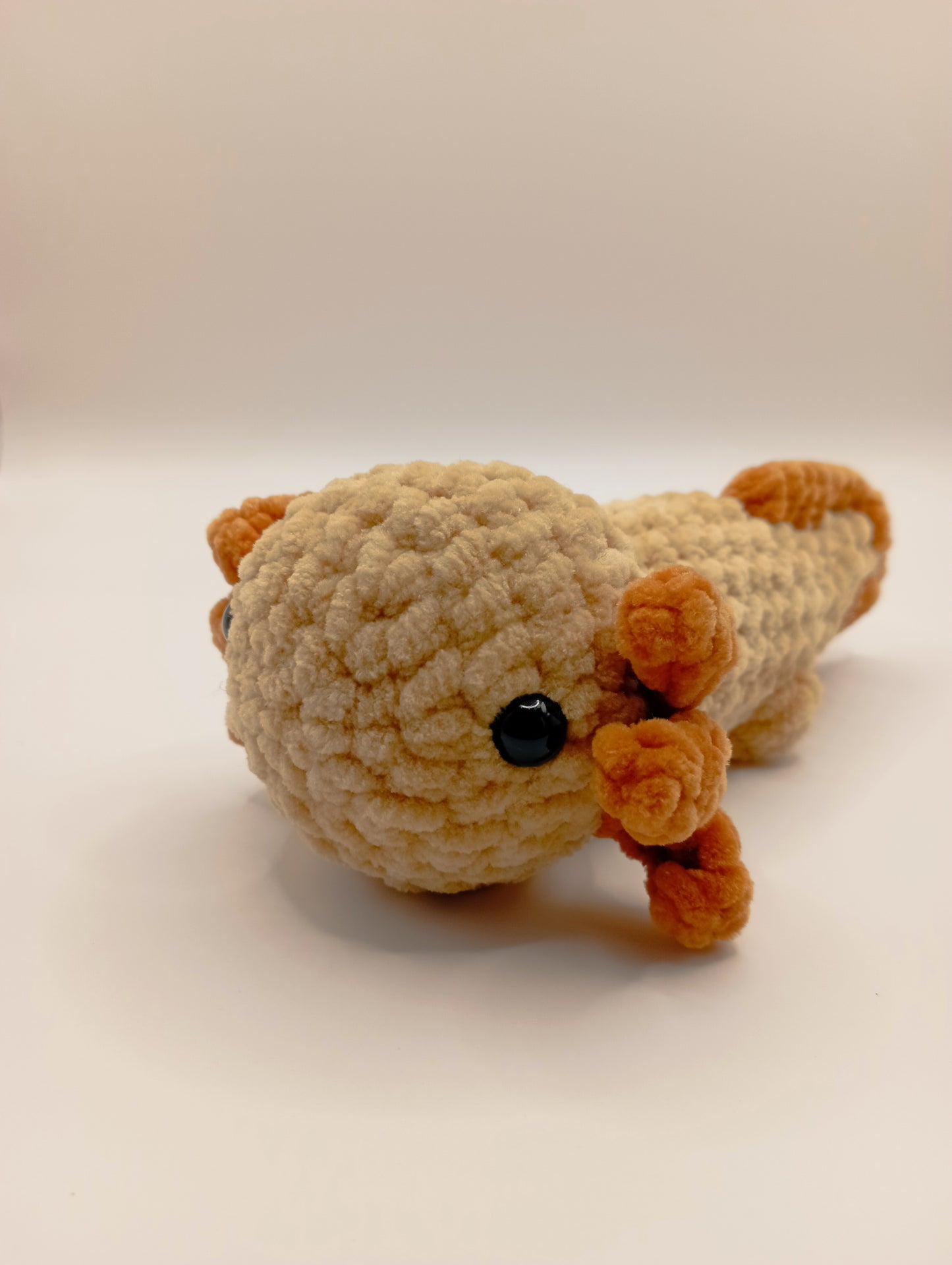 Axolotl