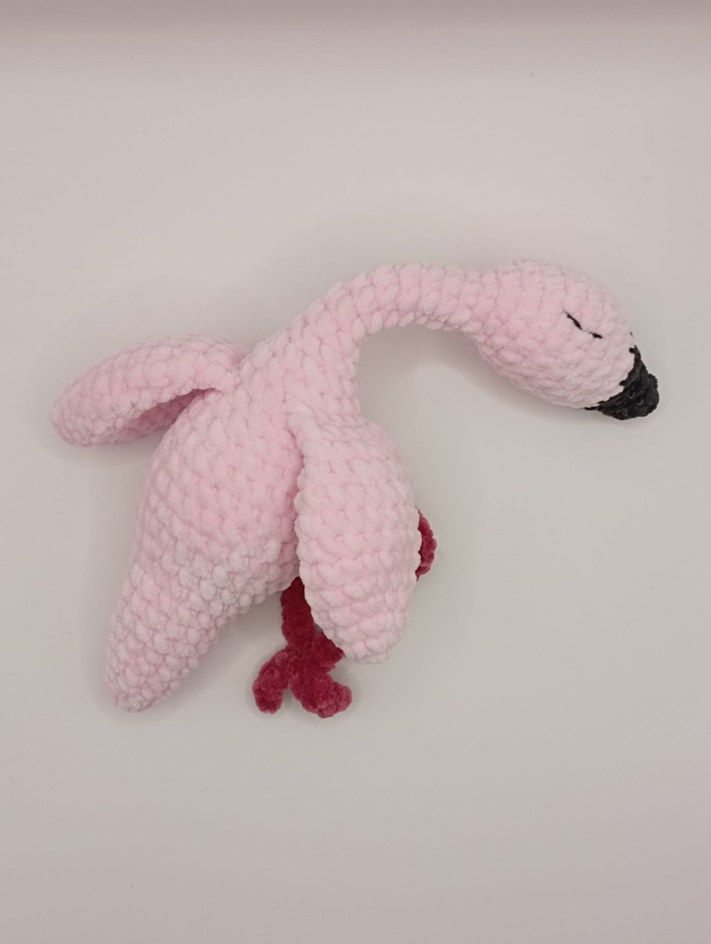 Flamant rose endormi