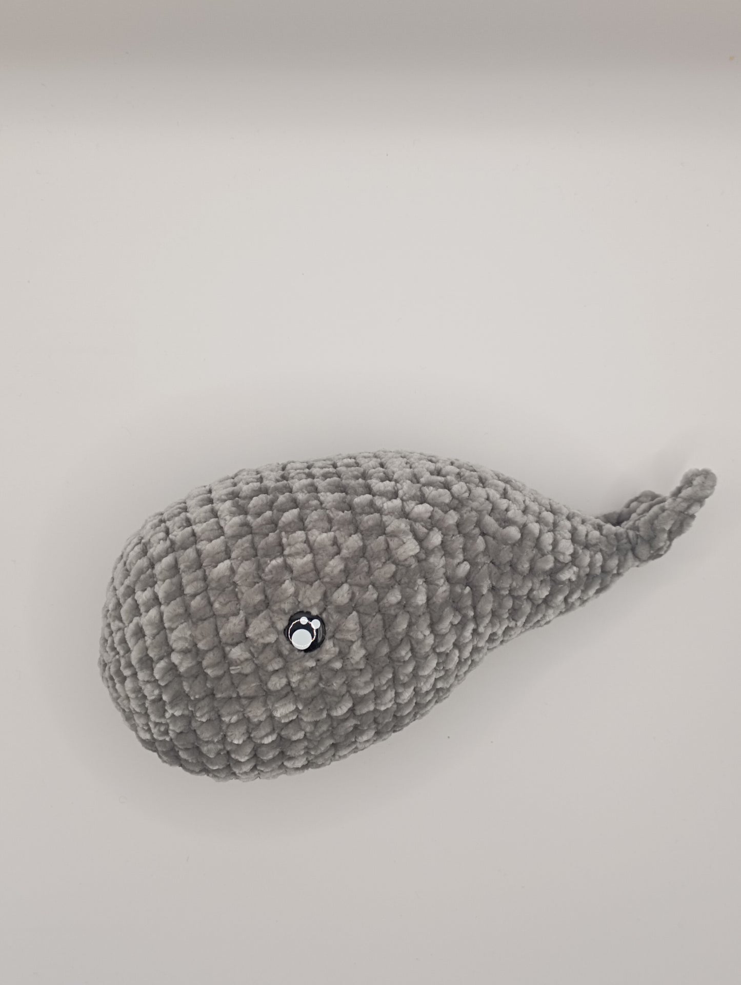 Petite baleine