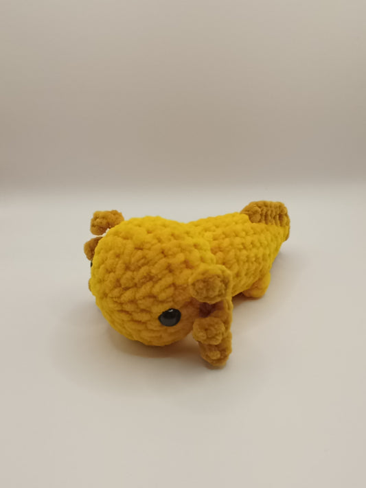 Axolotl
