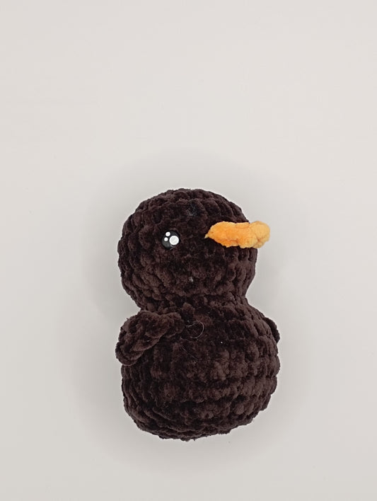 Bébé cygne noir