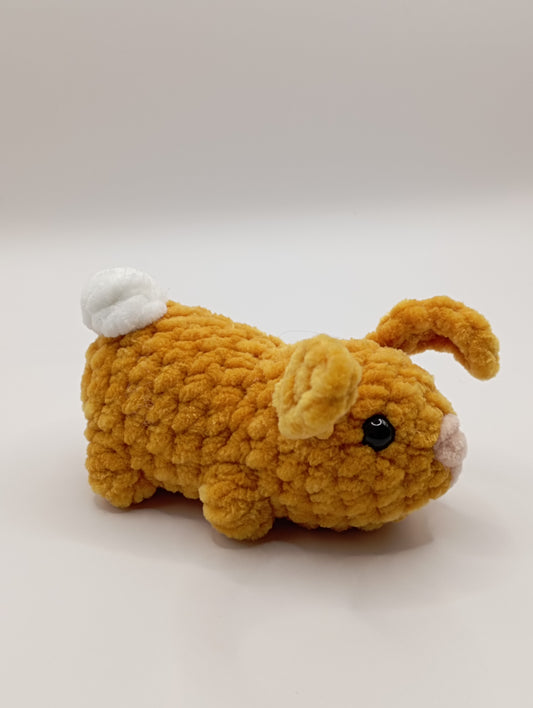 Mini lapin