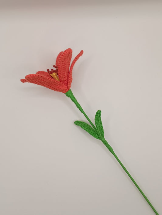 Lys