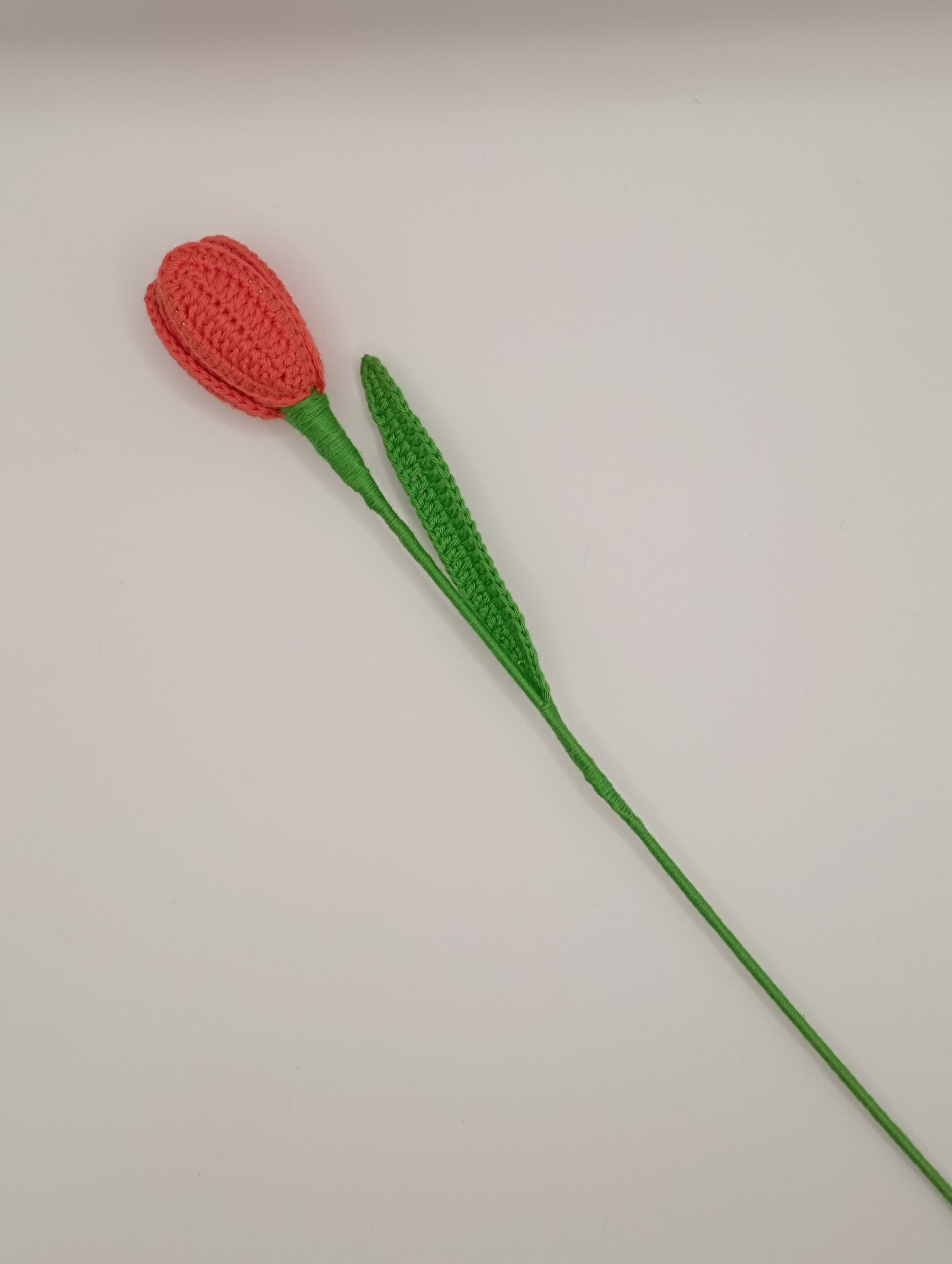 Tulipe
