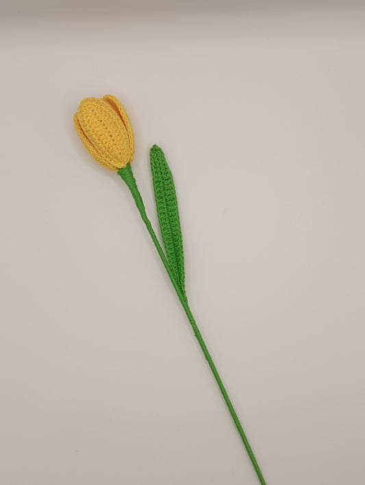 Tulipe