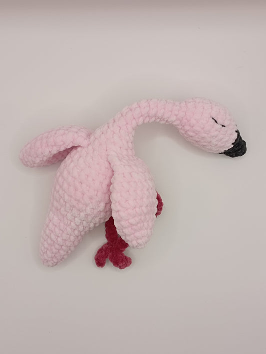 Flamant rose endormi