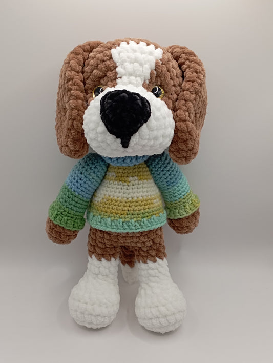 Beagle garçon