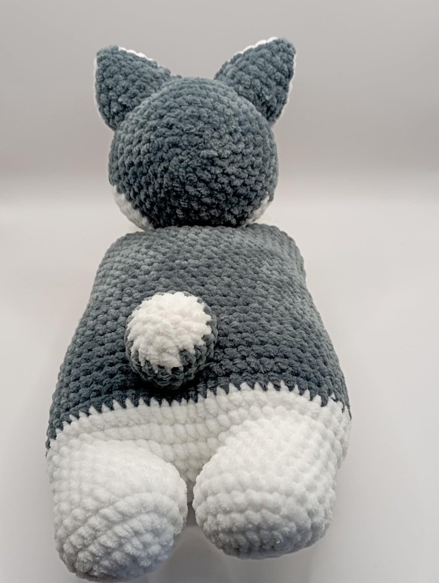 Chien couché