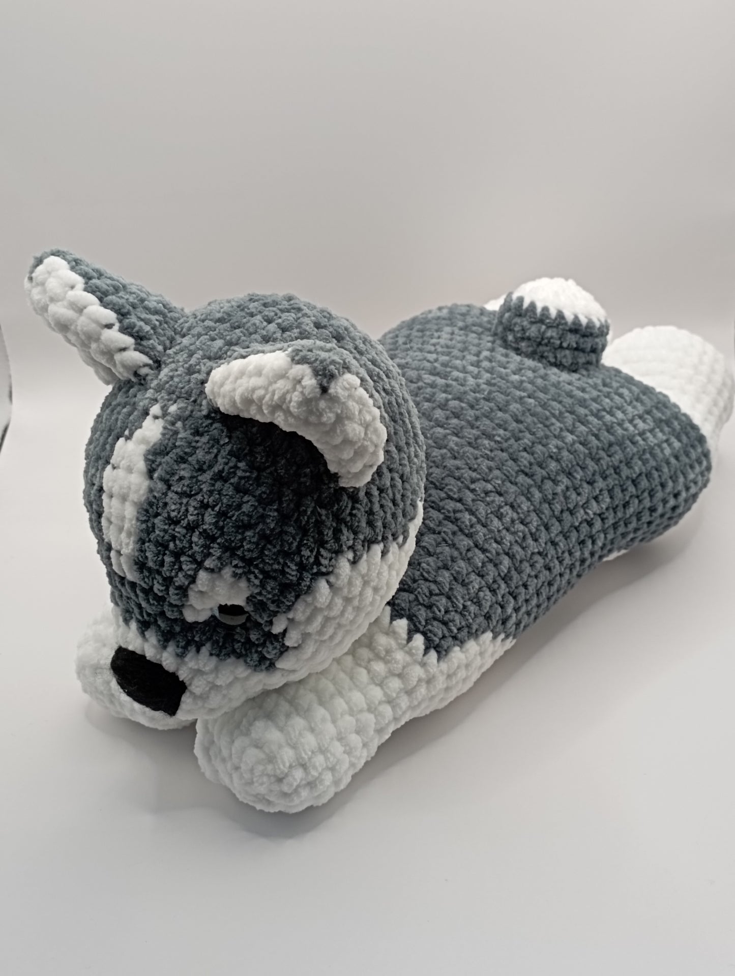 Chien couché