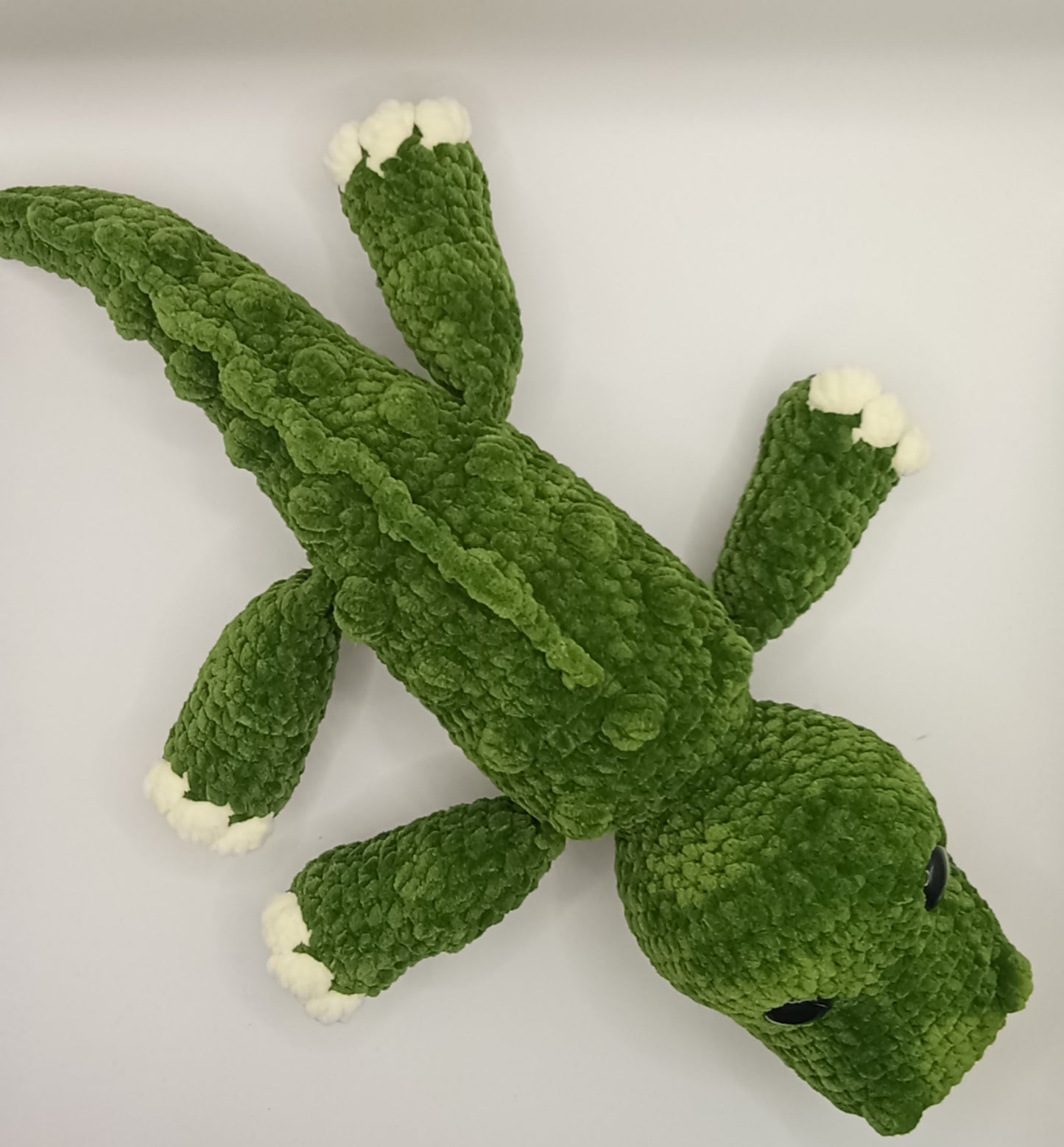 Crocodile