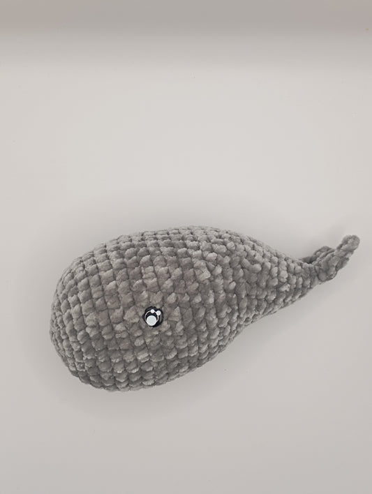 Petite baleine