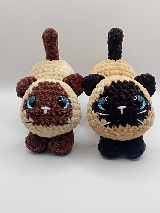 Petit  chat